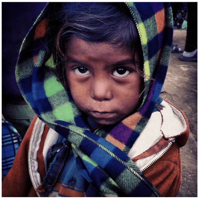 Winter Appeal 1 Muffler 1