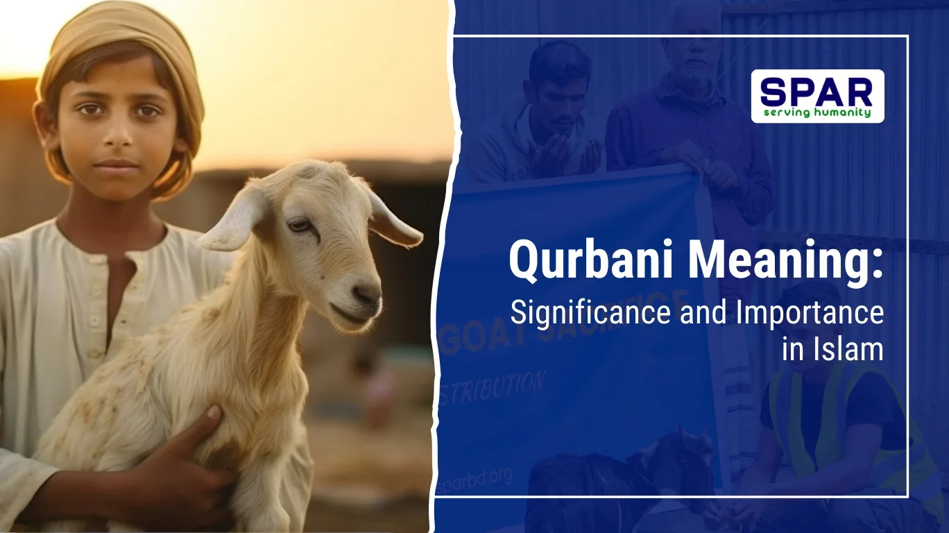 Qurbani Meaning: What It Represents in Islam Qurbani 1 Qurbani Meaning
