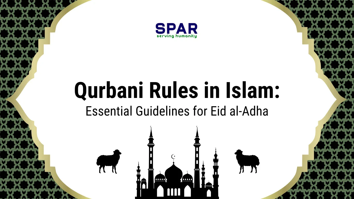 Qurbani Rules in Islam: Important Guidelines You Must Know 1 Qurbani rules in Islam