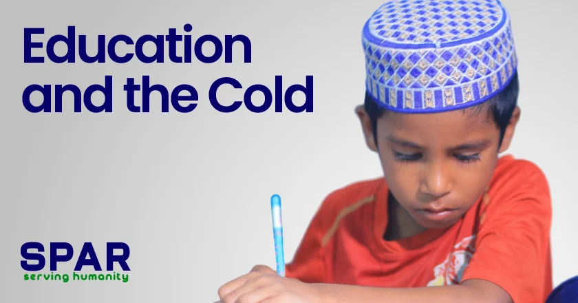 Education and the Cold