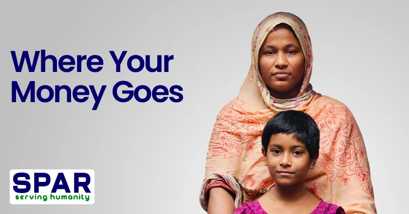 Where Your Money Goes