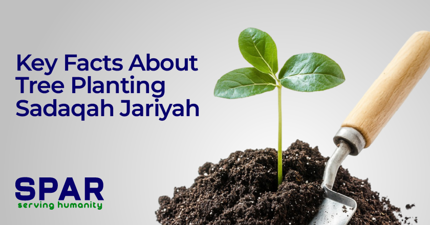 Tree Planting Sadaqah Jariyah: The Charity That Never Stops 3 Key Facts About Tree Planting Sadaqah Jariyah