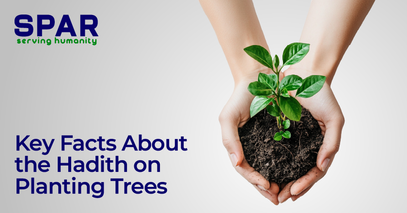 Key Facts About the Hadith on Planting Trees