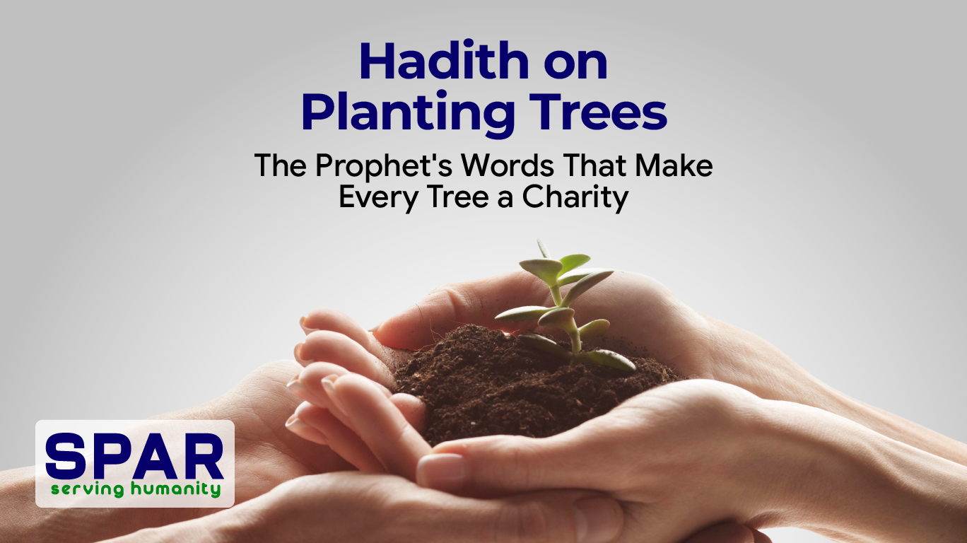 Hadith on Planting Trees: The Prophet’s Words That Make Every Tree a Charity