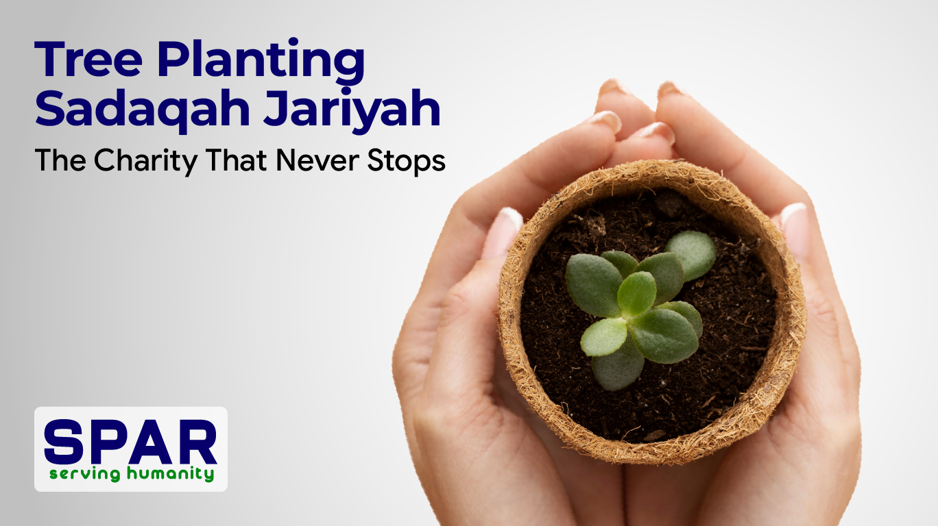 Tree Planting Sadaqah Jariyah: The Charity That Never Stops